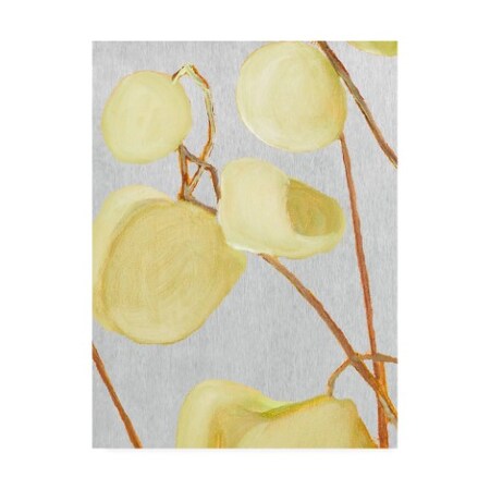 Trademark Fine Art India & Purry 'Milkweed on Pale Gray' Canvas Art, 14x19 IC01092-C1419GG